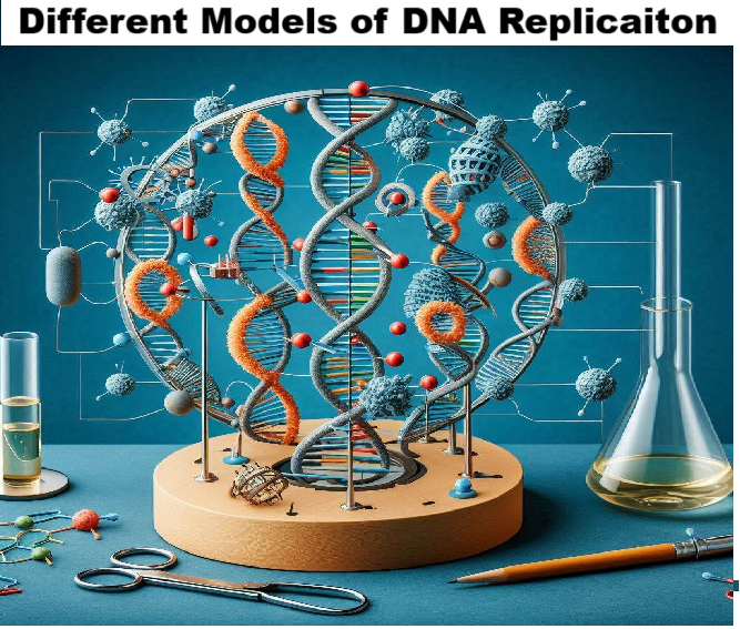 dna replication