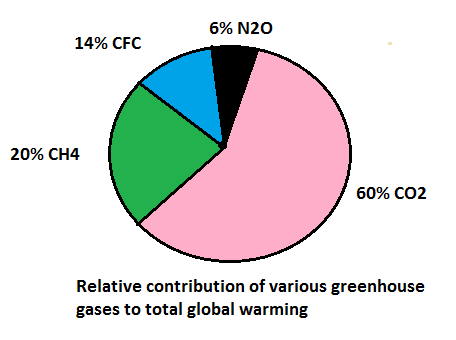 relative contribution of various greenhouse gases to total global warming