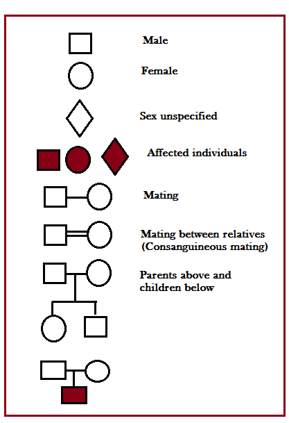 symbols-commonly-used-for-pedigree-analysis-pedigree-chart-family