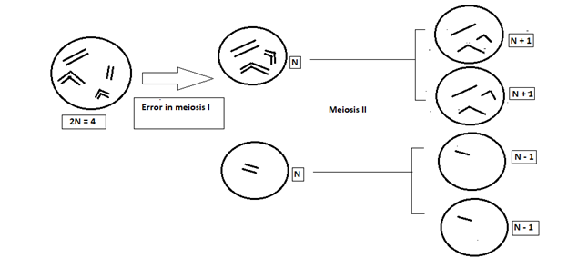 aneuploidy