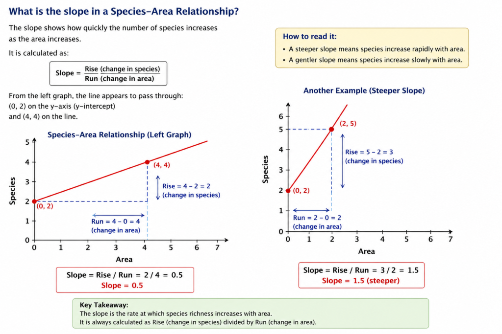 species-area relationship