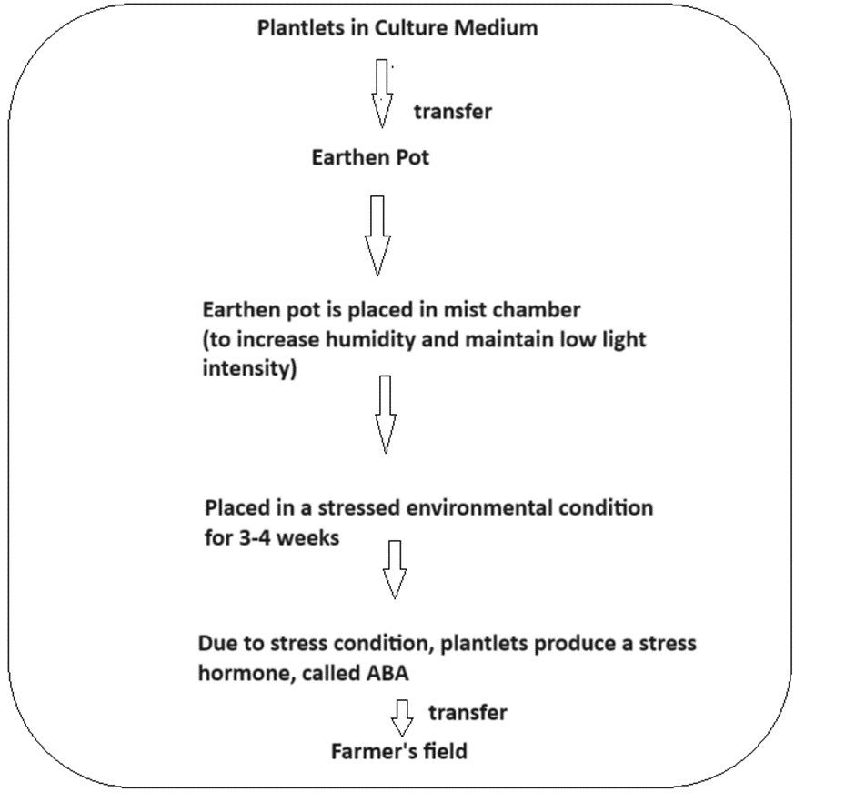 hardening procedure