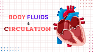 body fluids and circulation