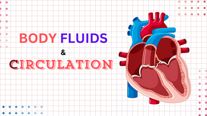 body fluids and circulation