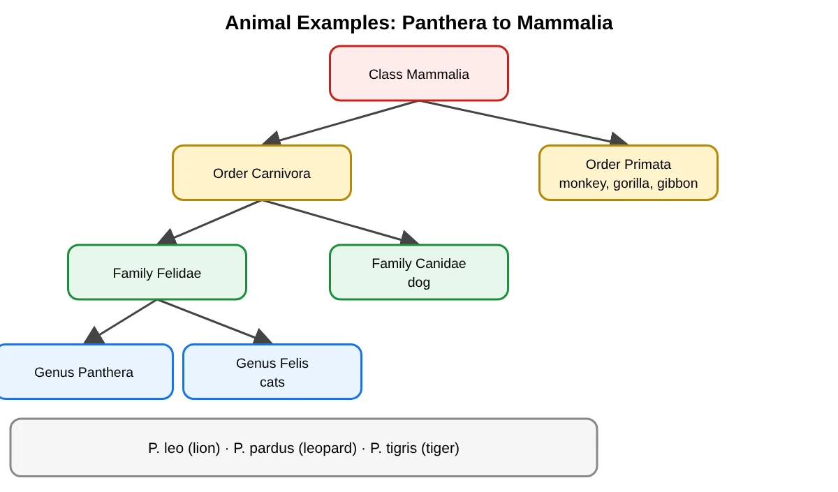 Animal hierarchy example