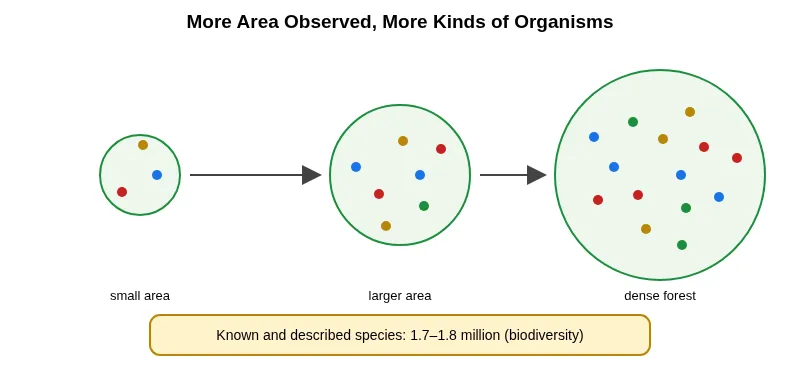 Larger observation area shows more kinds of organisms