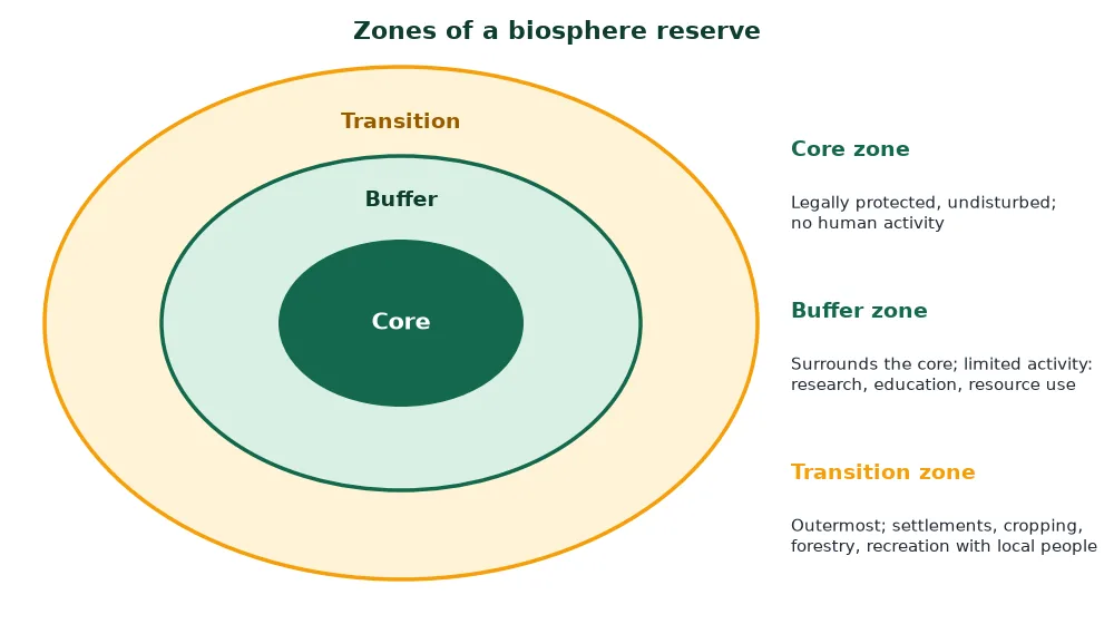 Zones of a biosphere reserve: core, buffer and transition