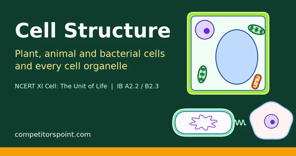 Cell structure title card showing a plant cell, a rod-shaped bacterium and an animal cell