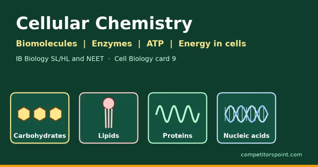 Cellular chemistry biomolecules title card with icons for carbohydrates, lipids, proteins and nucleic acids, for IB Biology and NEET notes on enzymes, ATP and energy in cells