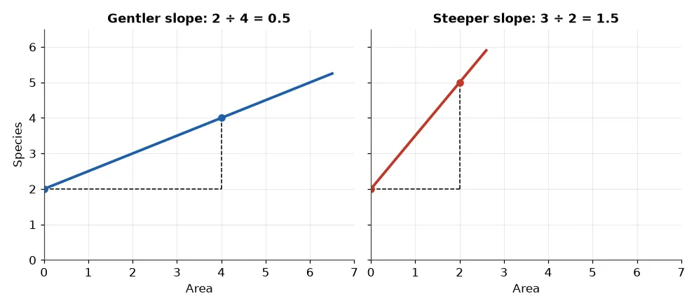 Two lines comparing a gentle slope of 0.5 and a steep slope of 1.5