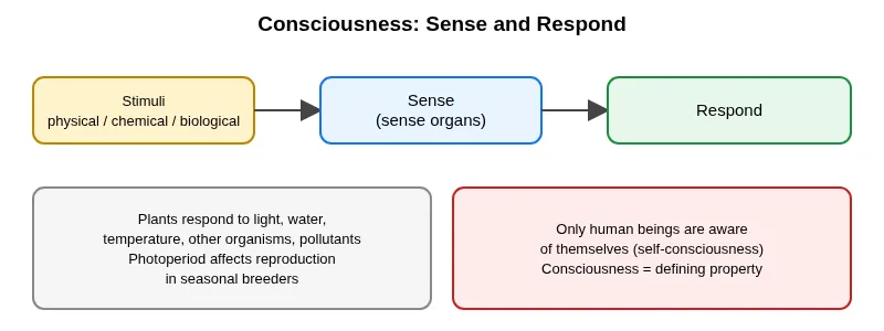 Stimulus, sensing and response