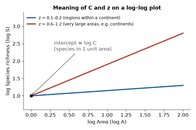 Log-log species-area lines showing intercept log C and different z slopes