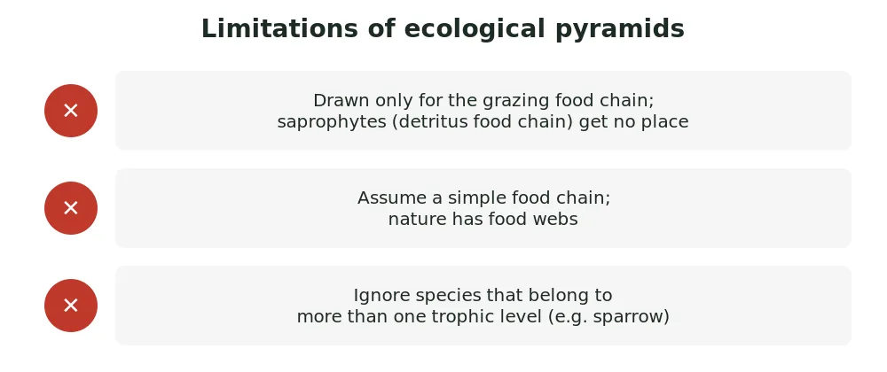 Limitations of ecological pyramids: drawn only for grazing food chain, ignore food webs, and ignore organisms occupying more than one trophic level
