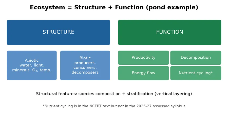 Diagram of ecosystem structure (abiotic and biotic) and functions (productivity, decomposition, energy flow, nutrient cycling)