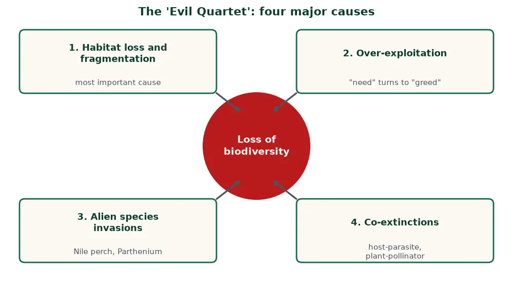 Evil Quartet: four causes of biodiversity loss