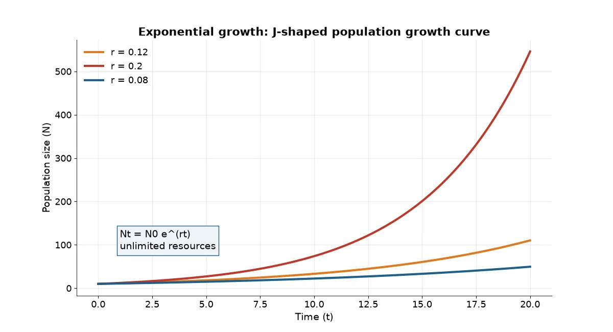 J-shaped exponential population growth curve for three values of r