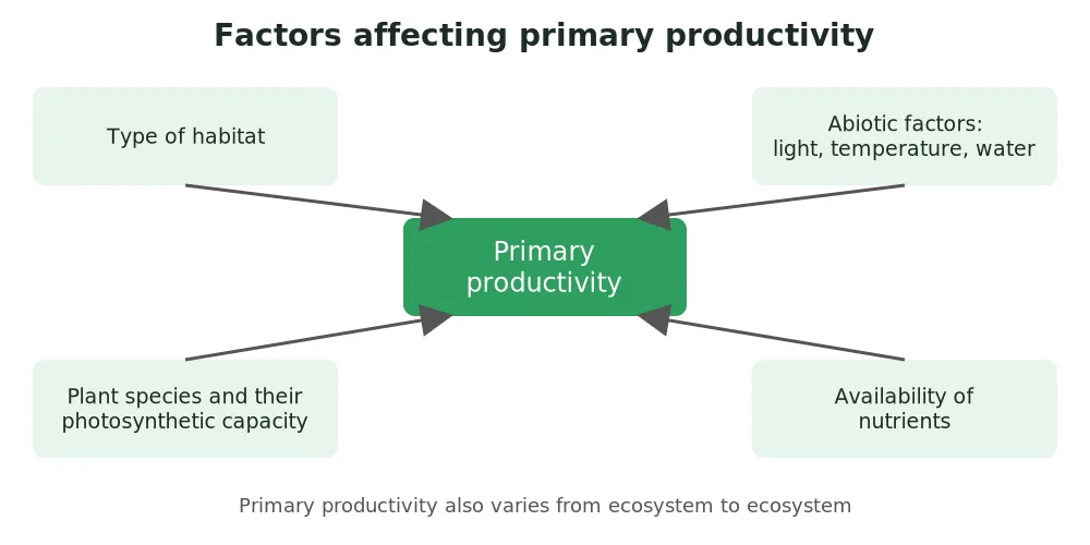 Factors affecting primary productivity in an ecosystem: type of habitat, plant species and photosynthetic capacity, abiotic factors and nutrient availability