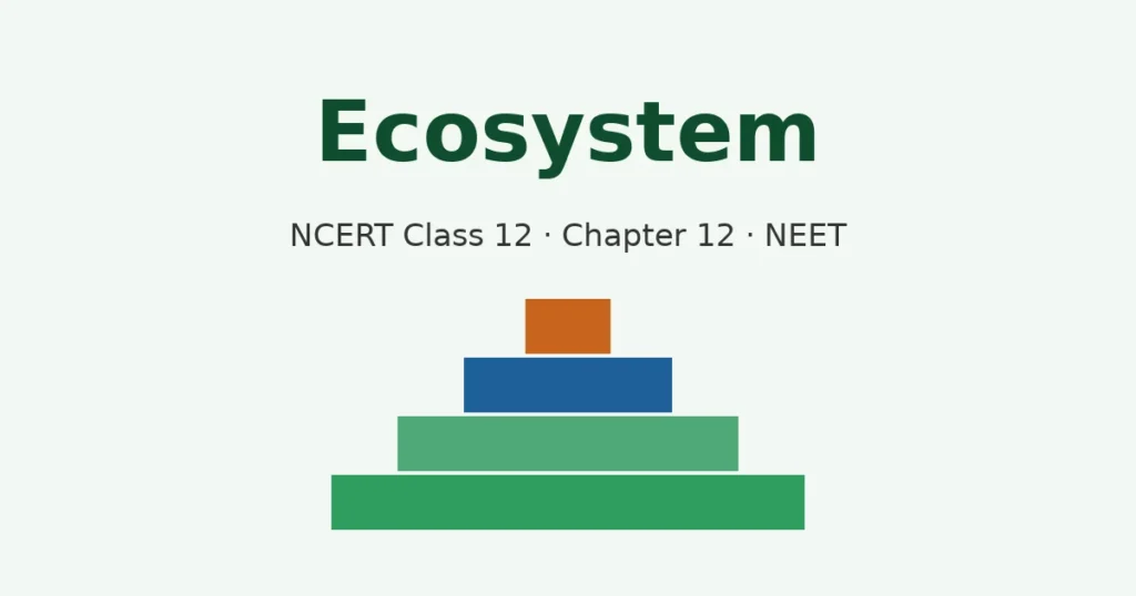 Ecosystem NEET notes NCERT Class 12 Chapter 12 cover with pyramid