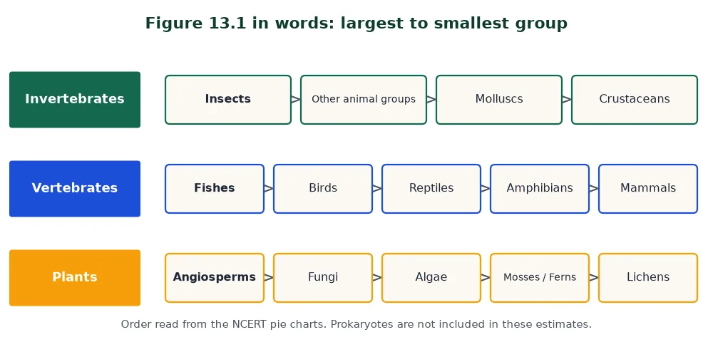 Global biodiversity ranking of major taxa of invertebrates, vertebrates and plants