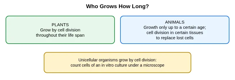 Plants grow throughout life; animals up to a certain age