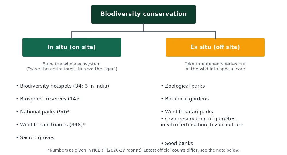 In situ and ex situ conservation of biodiversity flowchart