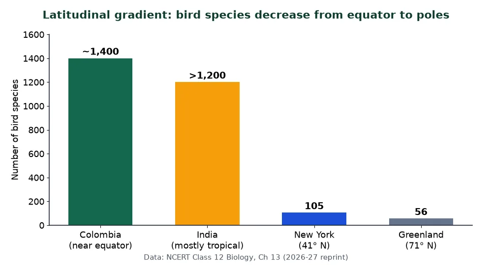 Latitudinal gradient in biodiversity: bird species in Colombia, India, New York and Greenland