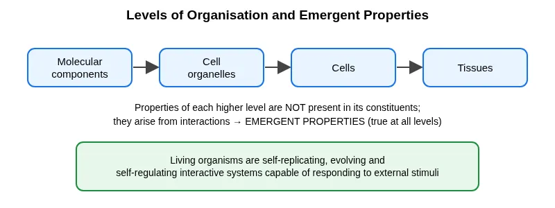 Levels of organisation and emergent properties