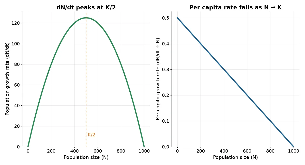 Graphs of growth rate dN/dt and per capita rate against population size in the logistic population growth curve