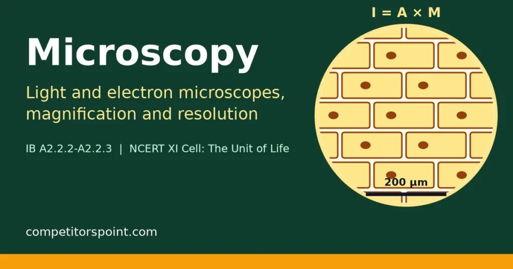 Microscopy title card showing a circular field of view of onion epidermis cells with a 200 micrometre scale bar and the formula I = A x M