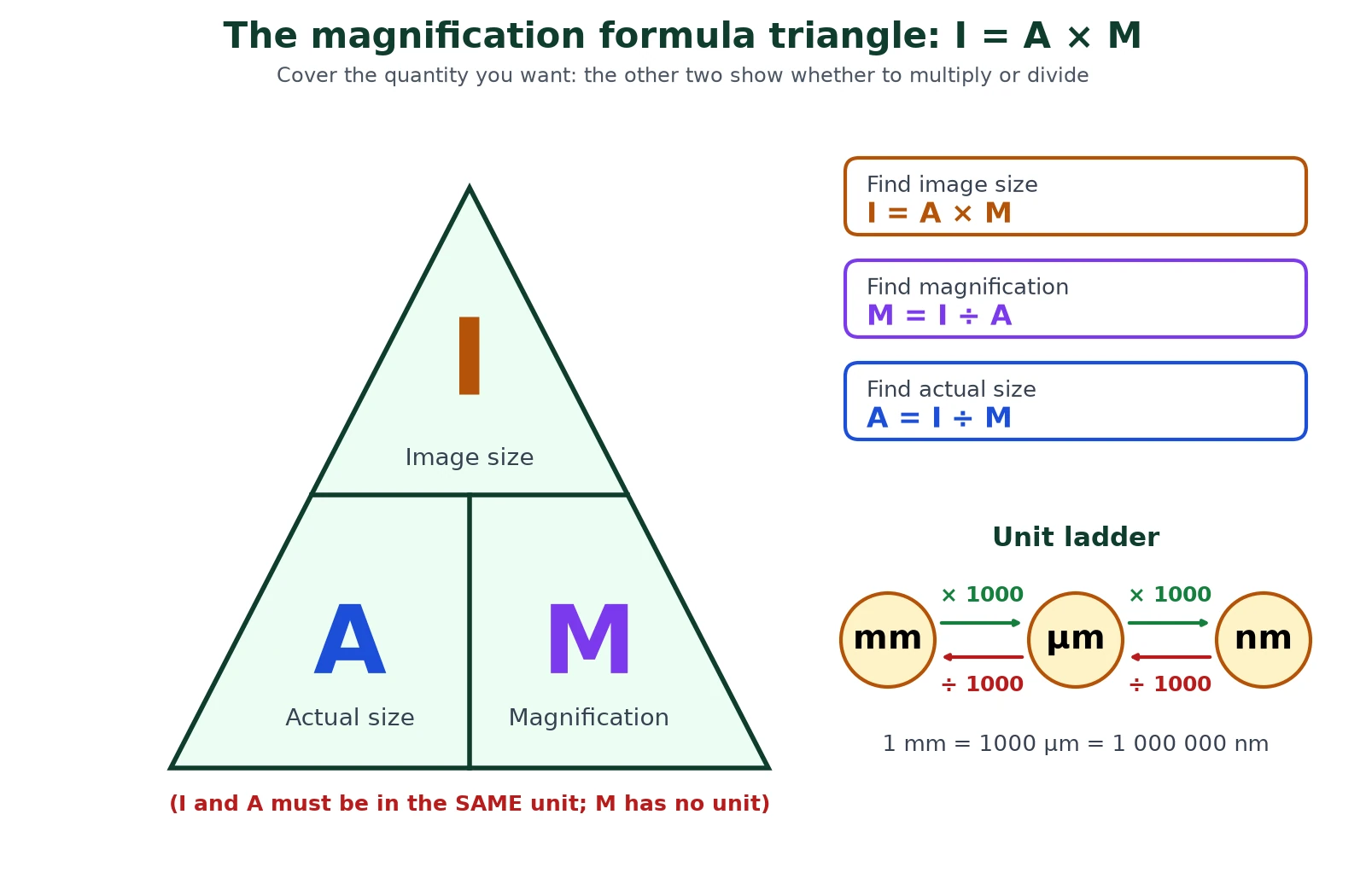 Microscopy magnification formula triangle with image size on top and actual size and magnification below, the three rearranged forms of I = A x M, and a unit ladder converting mm, micrometres and nanometres by factors of 1000