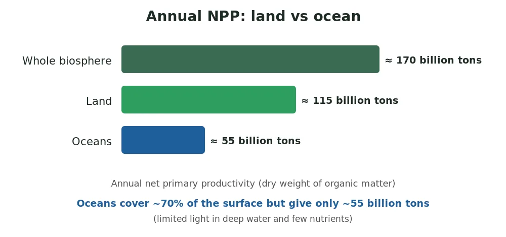Bar chart of annual net primary productivity of the biosphere: about 170 billion tons, land about 115 billion tons and oceans only 55 billion tons