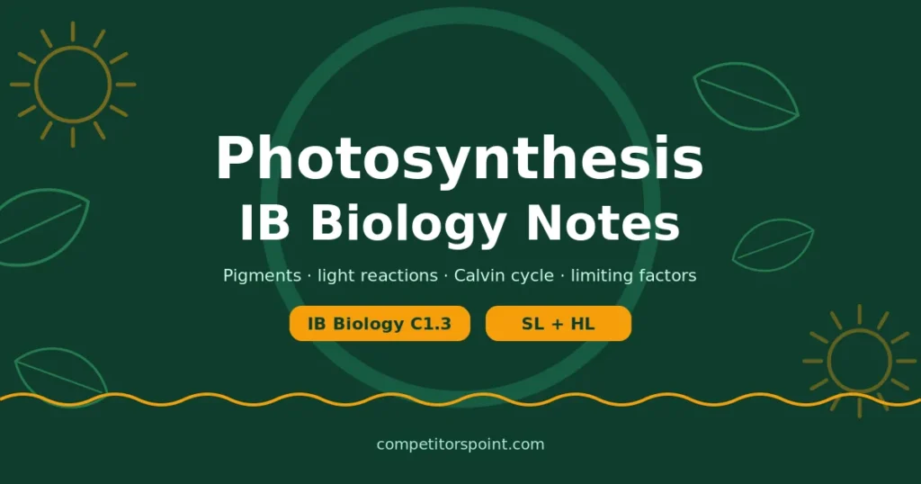Photosynthesis for IB Biology C1.3: pigments, light-dependent reactions, Calvin cycle and limiting factors