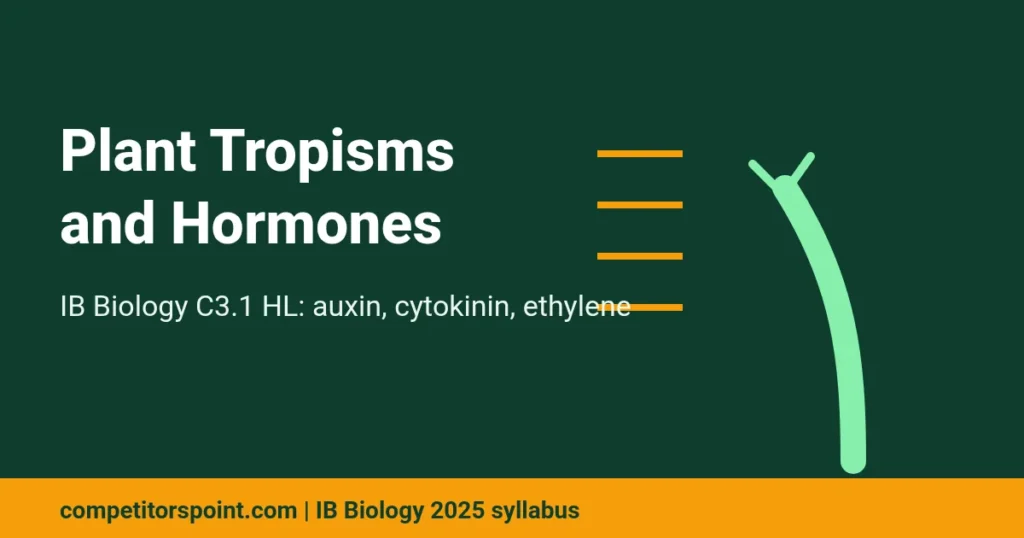 Plant tropisms and hormones IB Biology HL featured image
