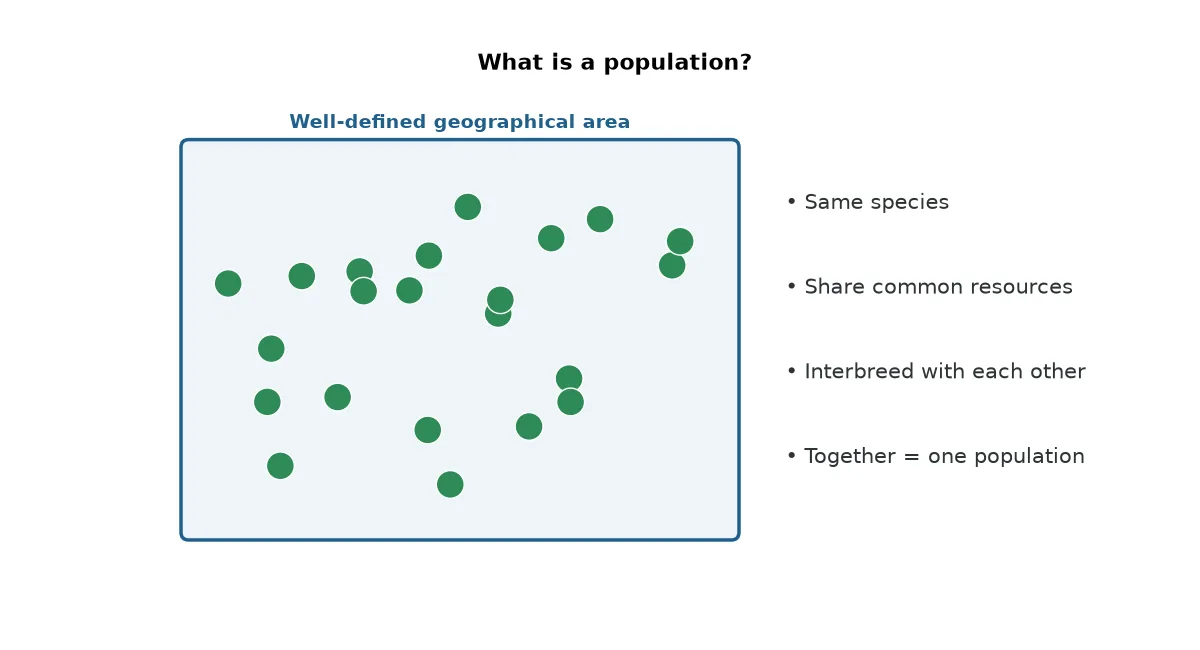 Diagram of a population of one species in a defined area, the unit whose population growth curve we study