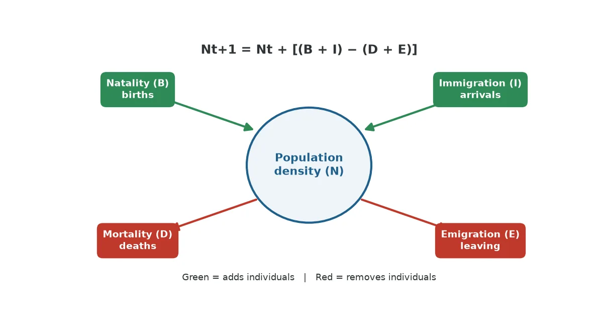Natality, immigration, mortality and emigration, the four factors that shape a population growth curve