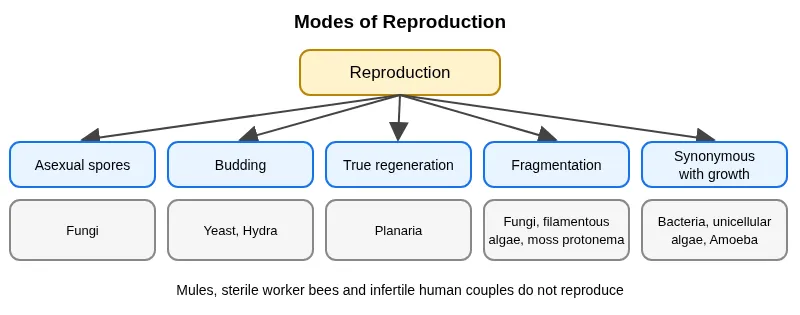 Examples of reproduction and organisms that do not reproduce