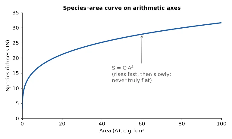 Species area relationship curve on arithmetic axes rising steeply then gradually
