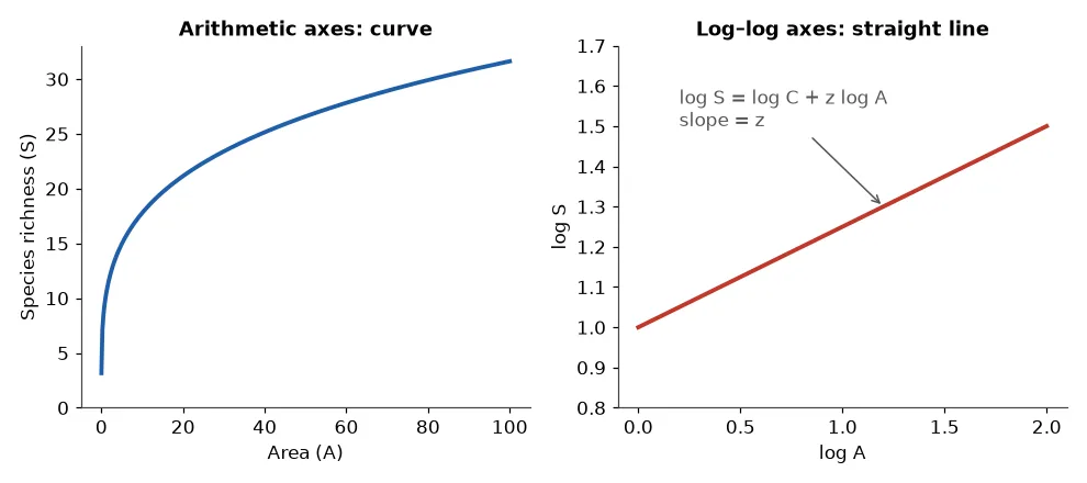 Species-area curve on arithmetic axes and the same relationship as a straight line on log-log axes