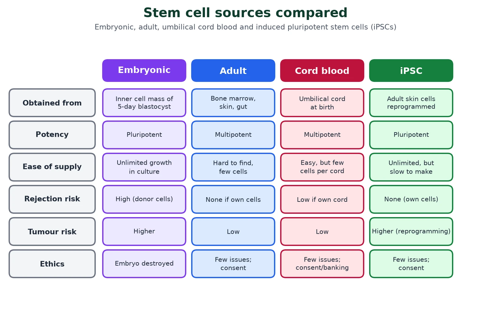 Cell differentiation and stem cells comparison of four stem cell sources, embryonic, adult, umbilical cord blood and induced pluripotent stem cells, by origin, potency, ease of supply, rejection risk, tumour risk and ethics