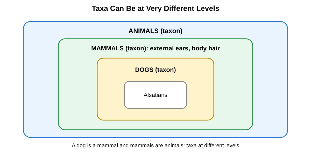 Nested taxa animals mammals dogs