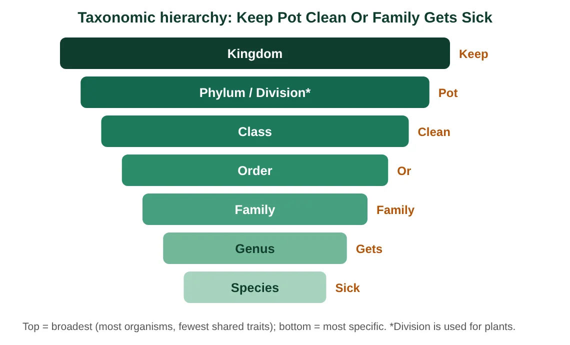 Taxonomic hierarchy