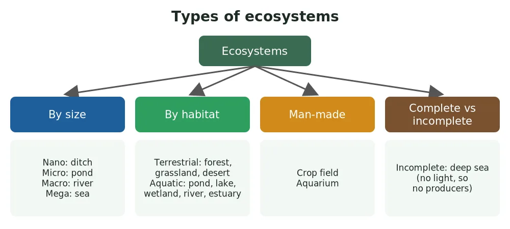 Types of ecosystems chart: classified by size (nano, micro, macro, mega), habitat (terrestrial and aquatic), man-made, and complete vs incomplete ecosystem