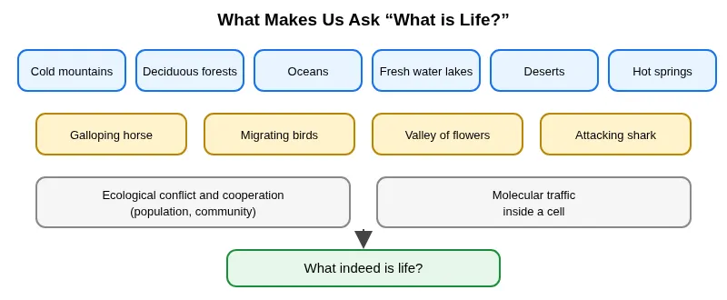 Habitats, organisms and interactions that make us ask what life is