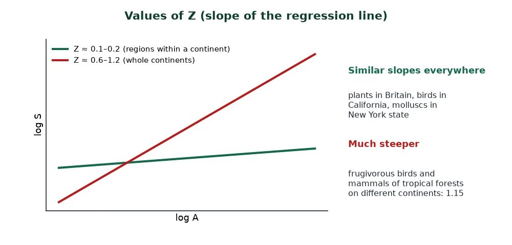 Z values in the species-area relationship for regions and whole continents